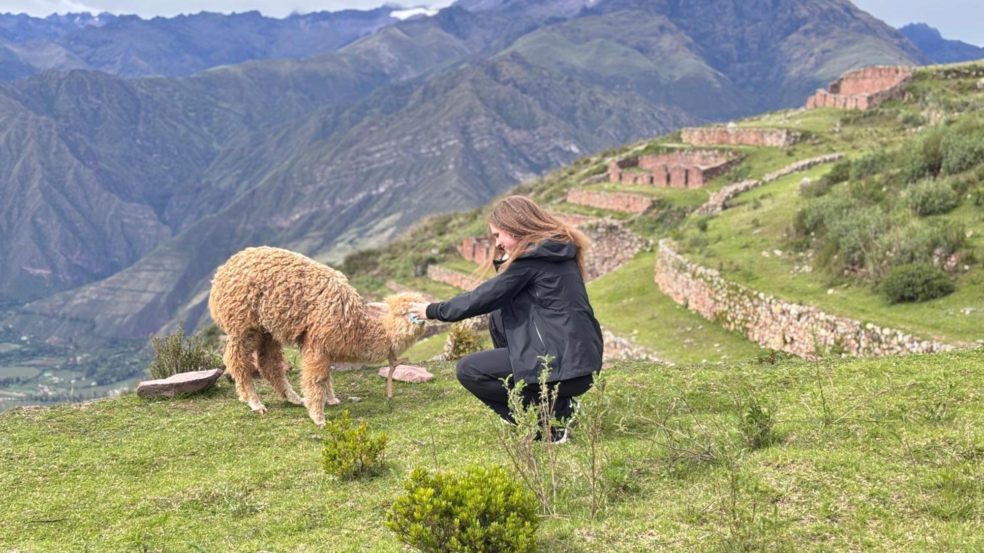 Camping Sky Dome Peru Cuzco