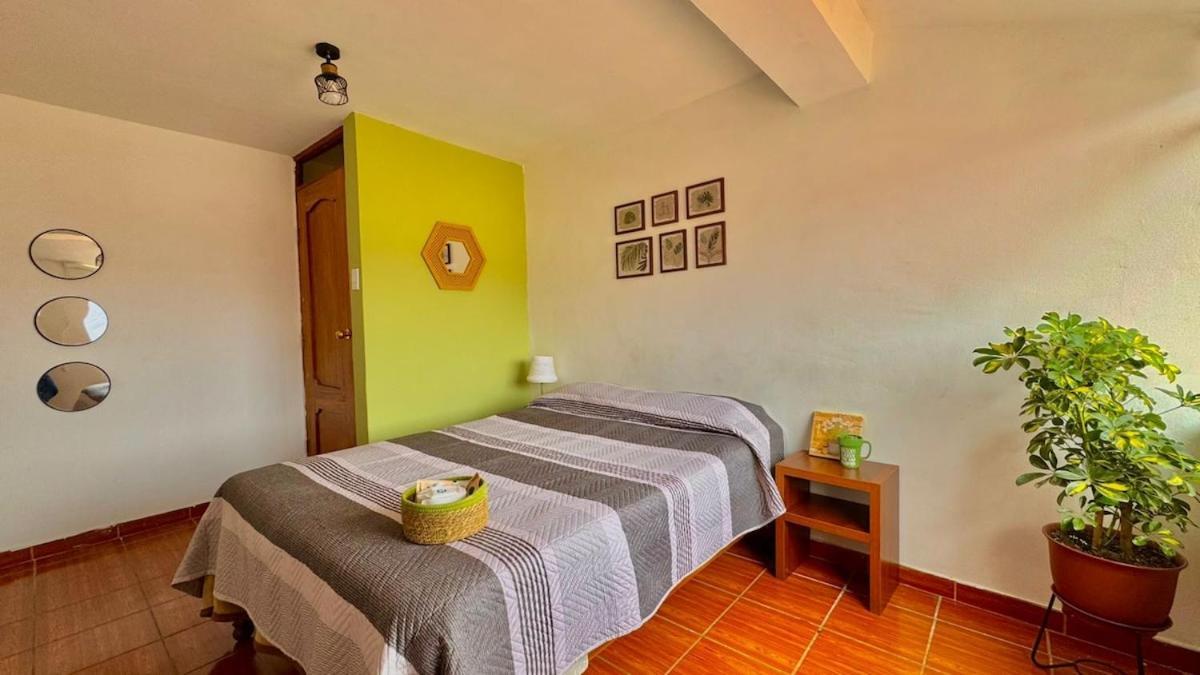 Homestay San Blas Soul