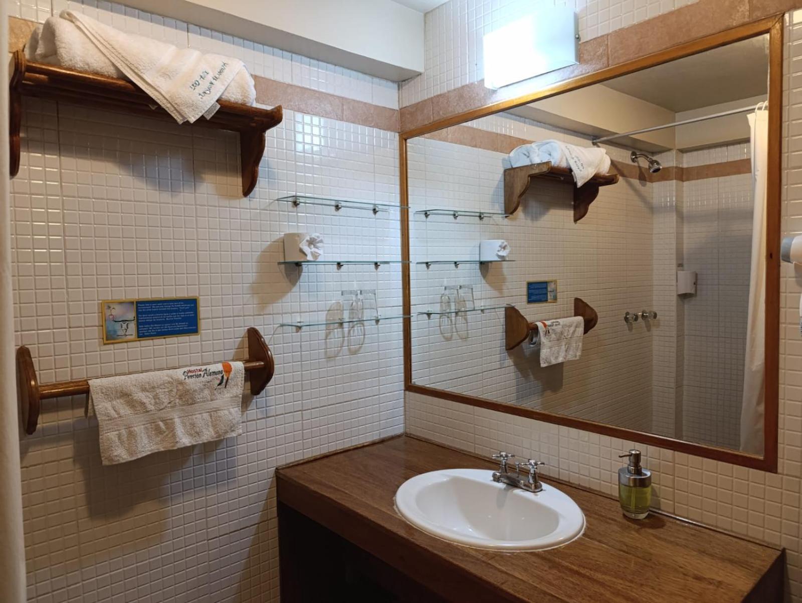 Eco-hotel Alemana Inn 3*