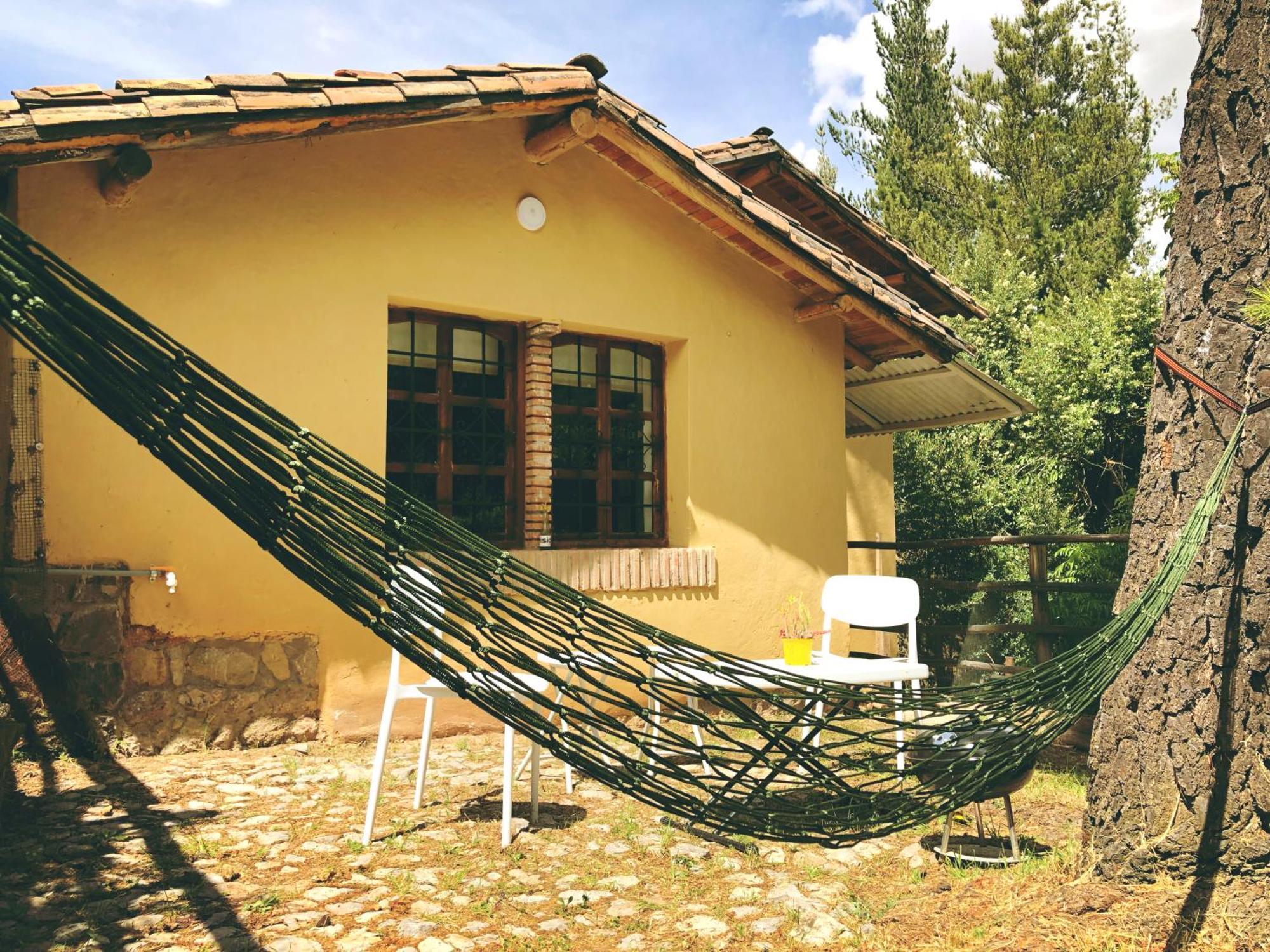The Tree House Apartamento Cusco