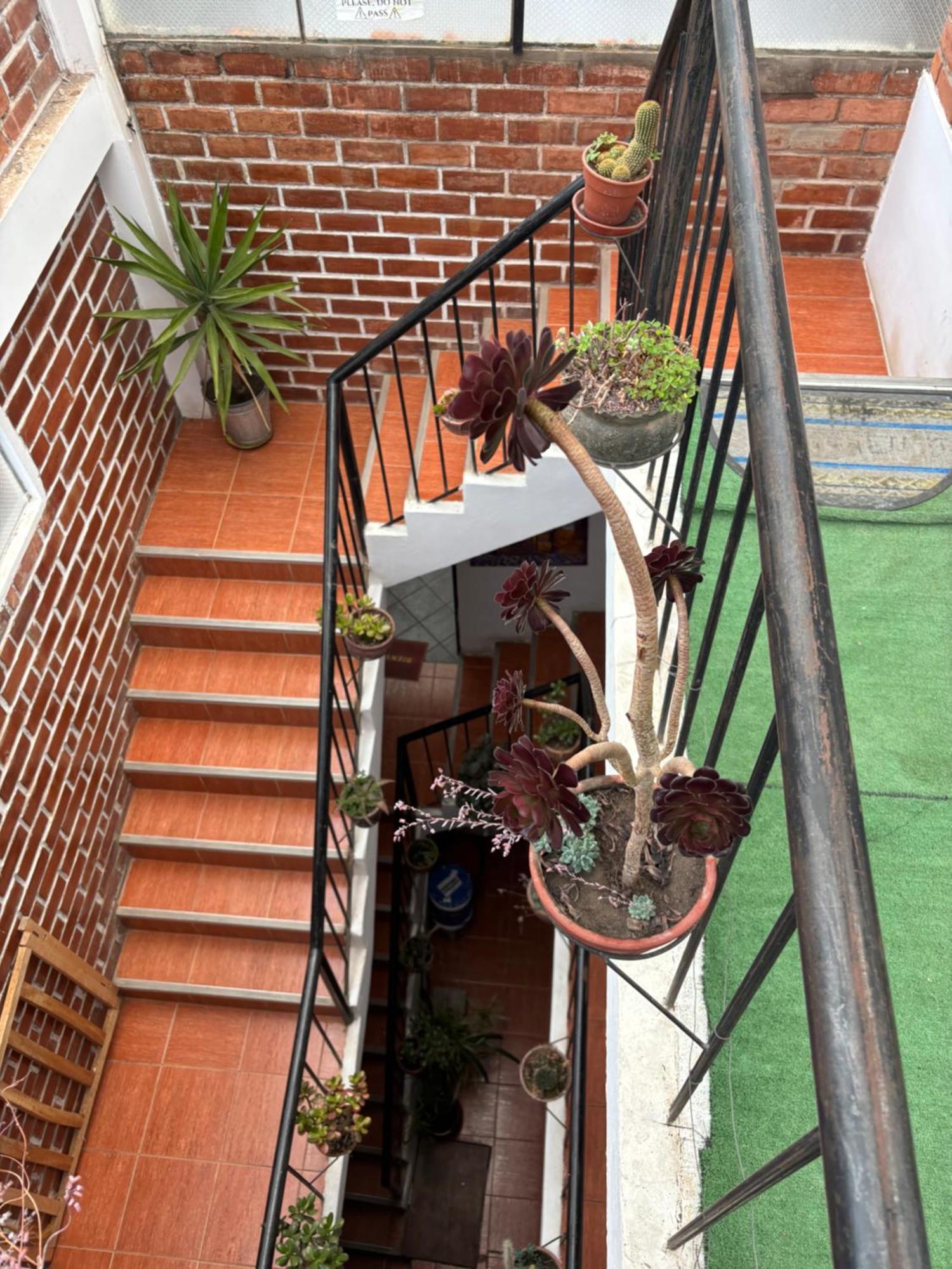 Holiday home Panoramic View Terrace House , 5 Bedrooms *