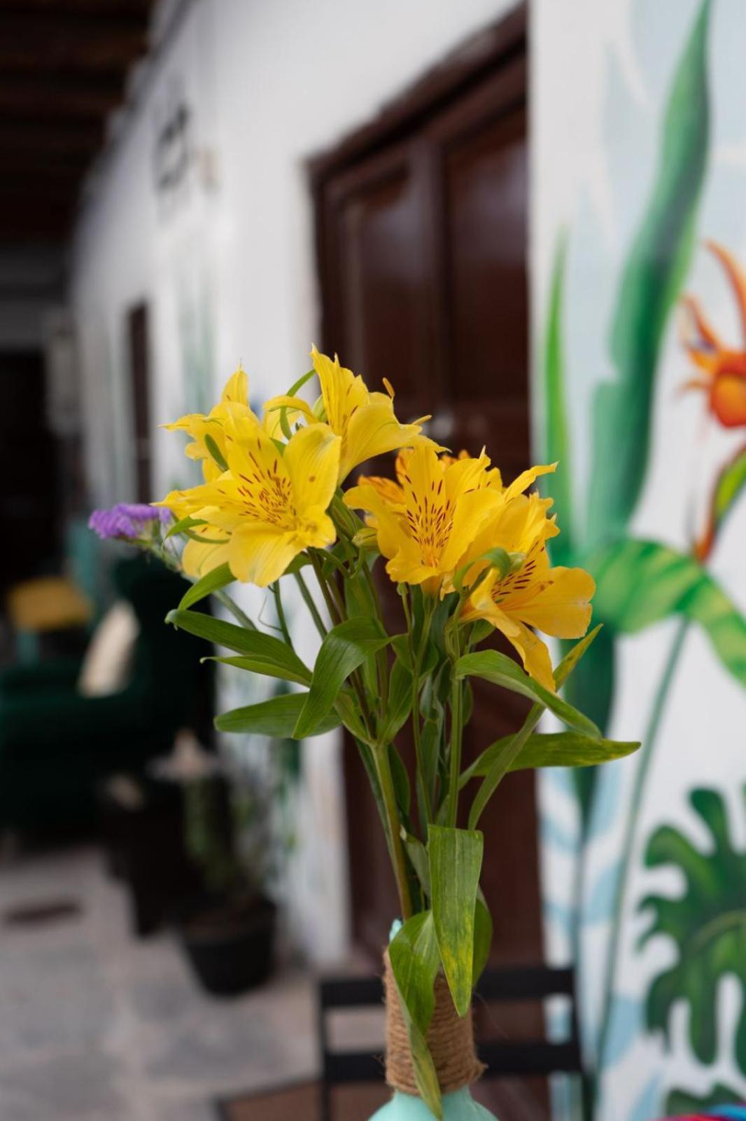 Magic House Experience Hostel