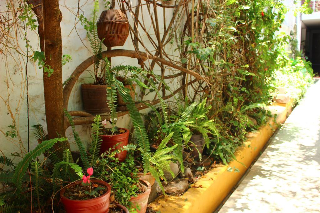 Hotel Casa De Mama 2-the Ecohouse 3*