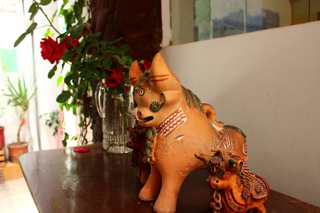 Casa De Mama 2-the Ecohouse Hotel 3*