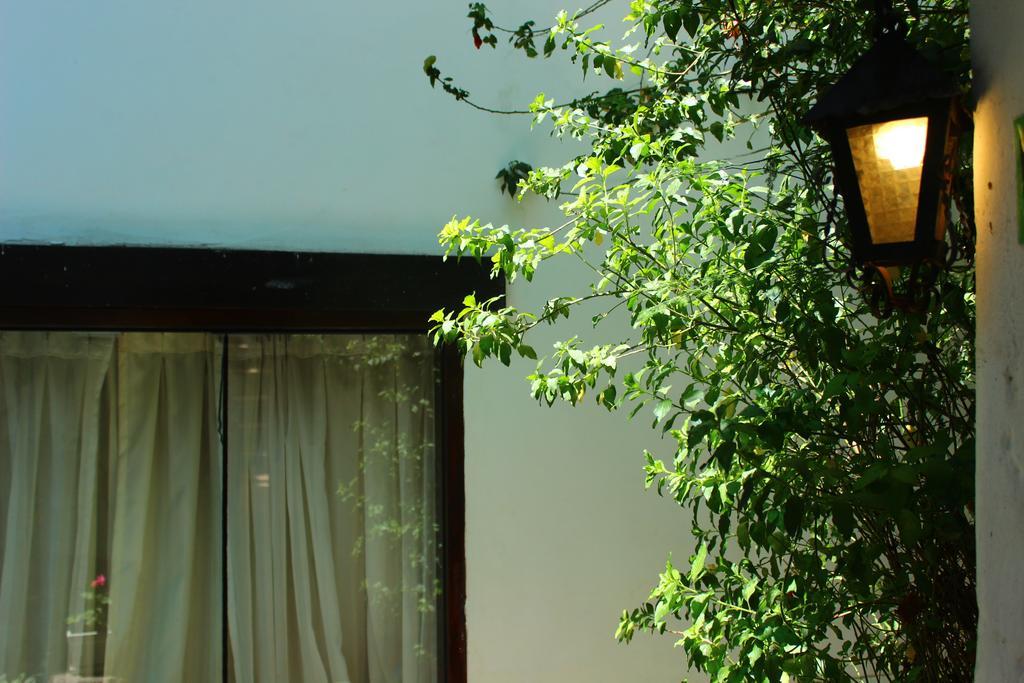 Hotel Casa De Mama 2-the Ecohouse 3*