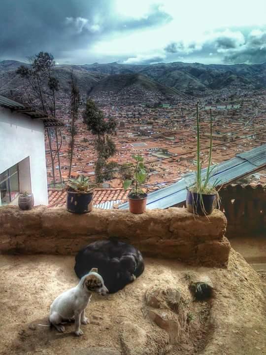 Aguaymanto Hostal