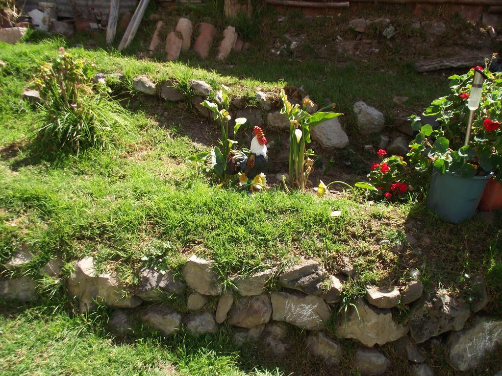 Guest house Pampawasi *