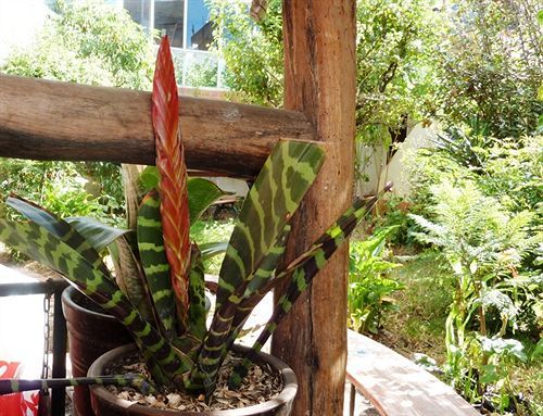 Kukuli Bed & Breakfast Cusco