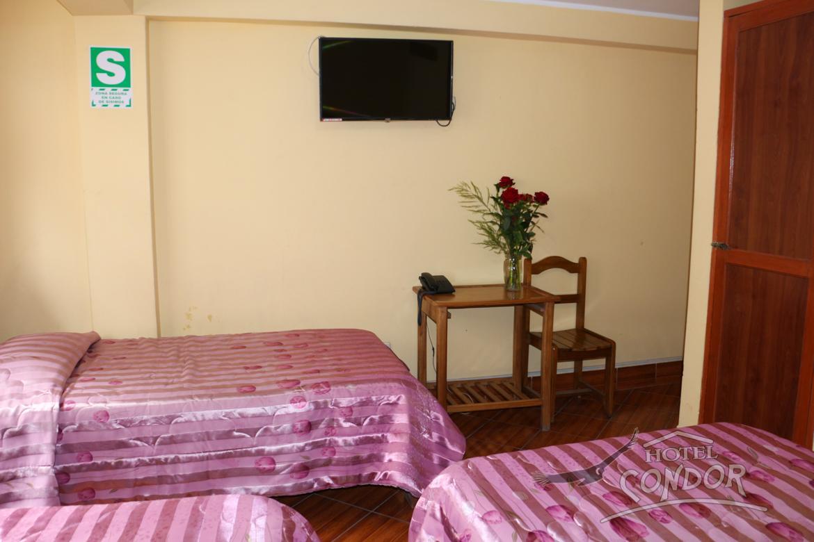 Hotel Condor 2*