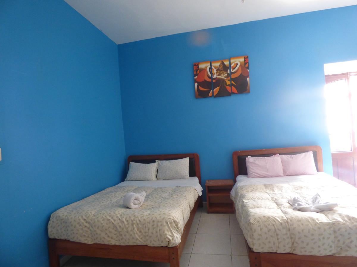Hostel The Grassshopper Plaza De Armas