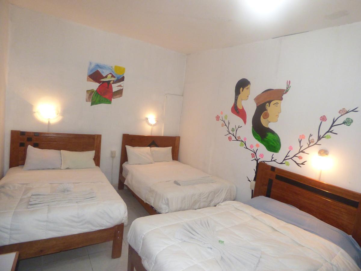 Hostel The Grassshopper Plaza De Armas