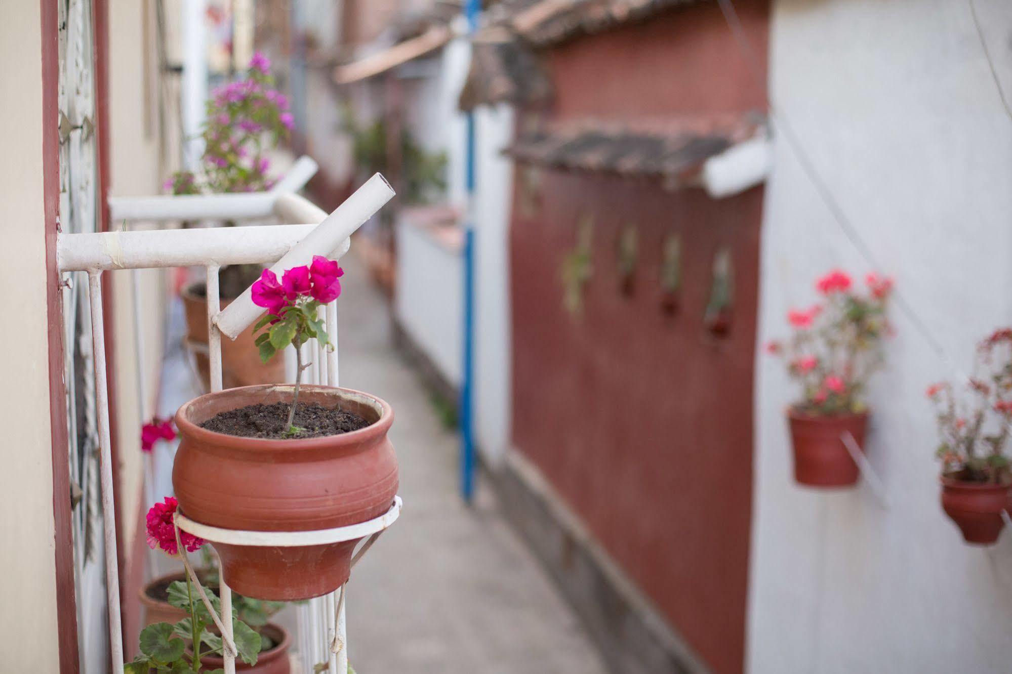 Bed and breakfast Aticos 2*