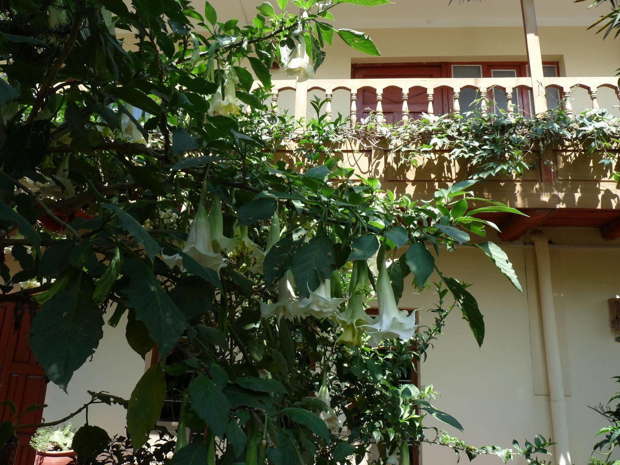 Bed & Breakfast Kukuli Cusco