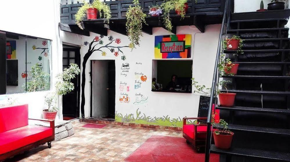 Hostal The Grasshopper Cuzco
