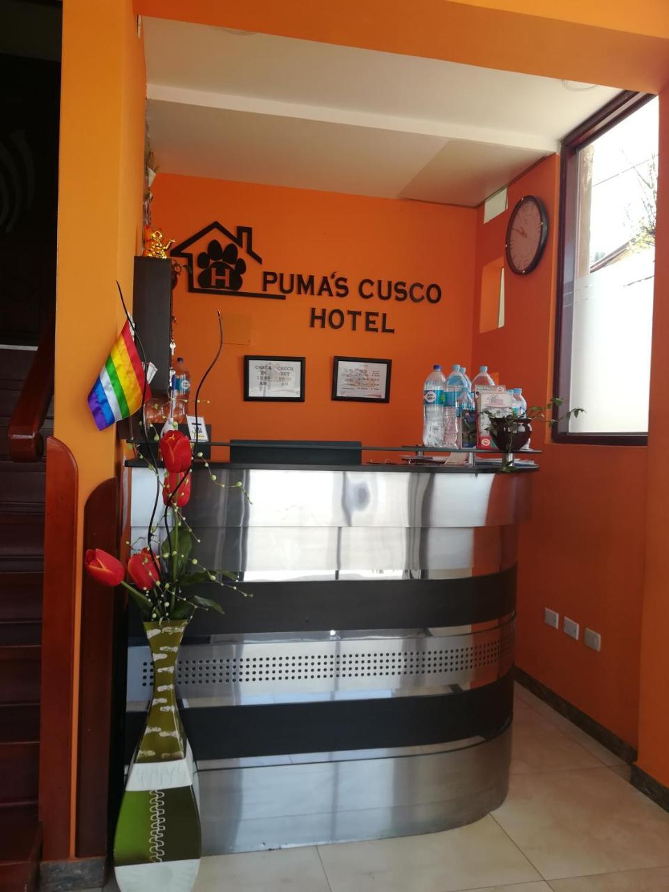 Guest house Pumas 2*