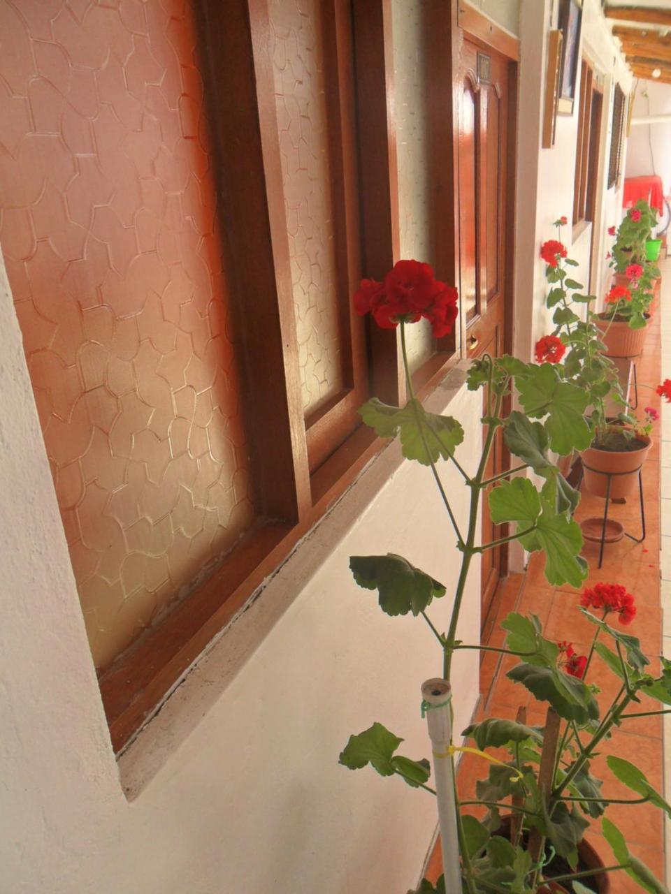 Casa 7 * Cusco
