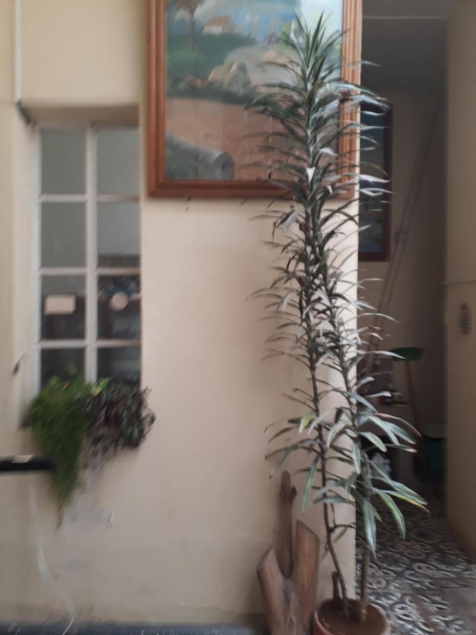Casa Rivero Cusco