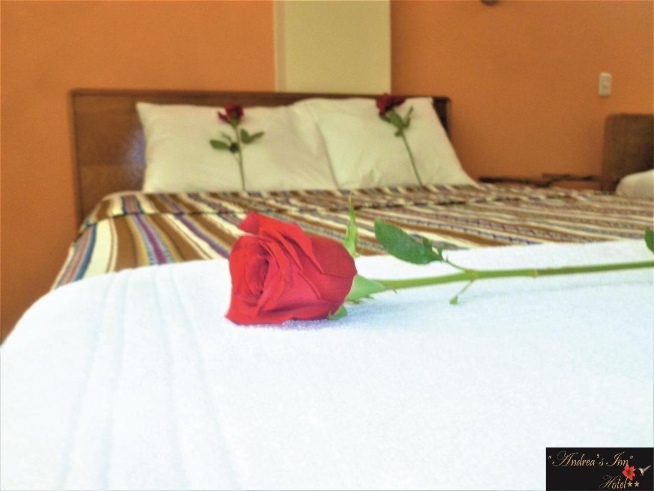 Andrea's Hotel 2*