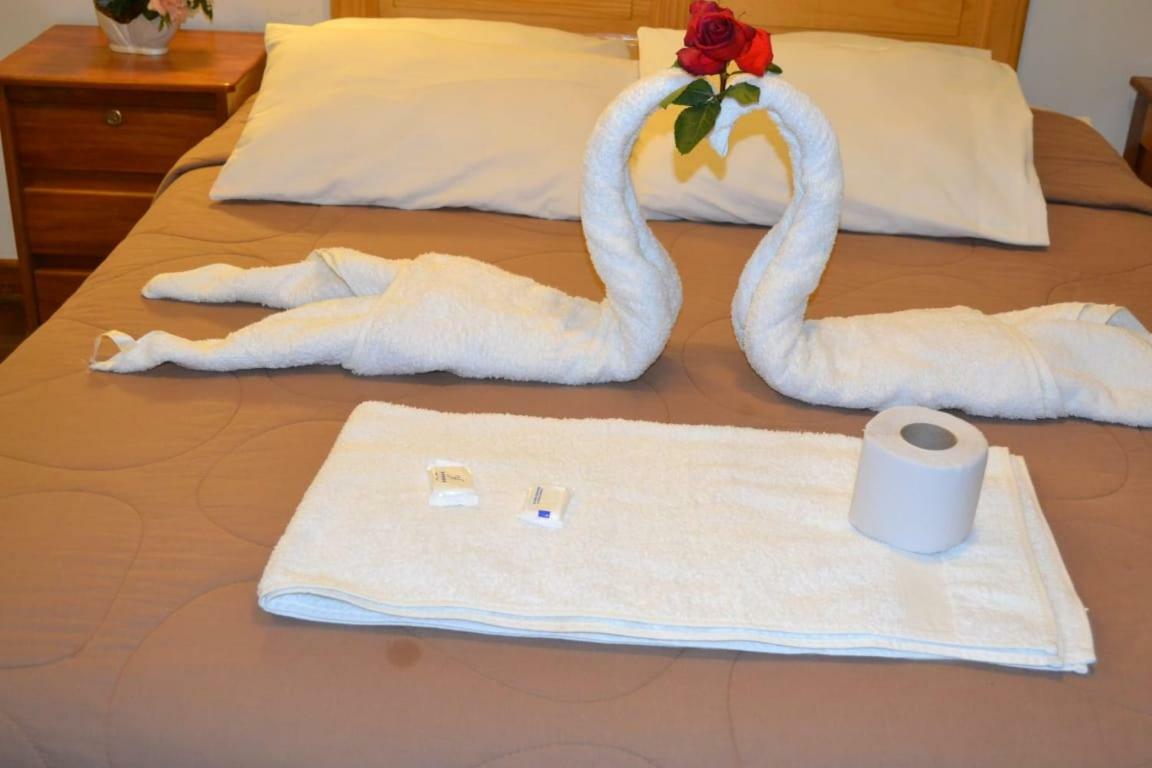 Guest house El Gran Safari 2*