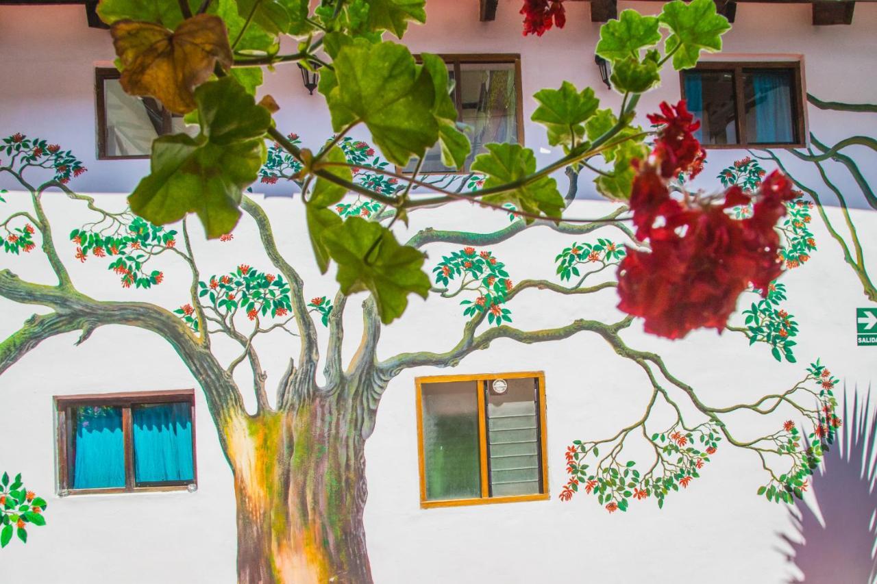 Hostel Tucan *