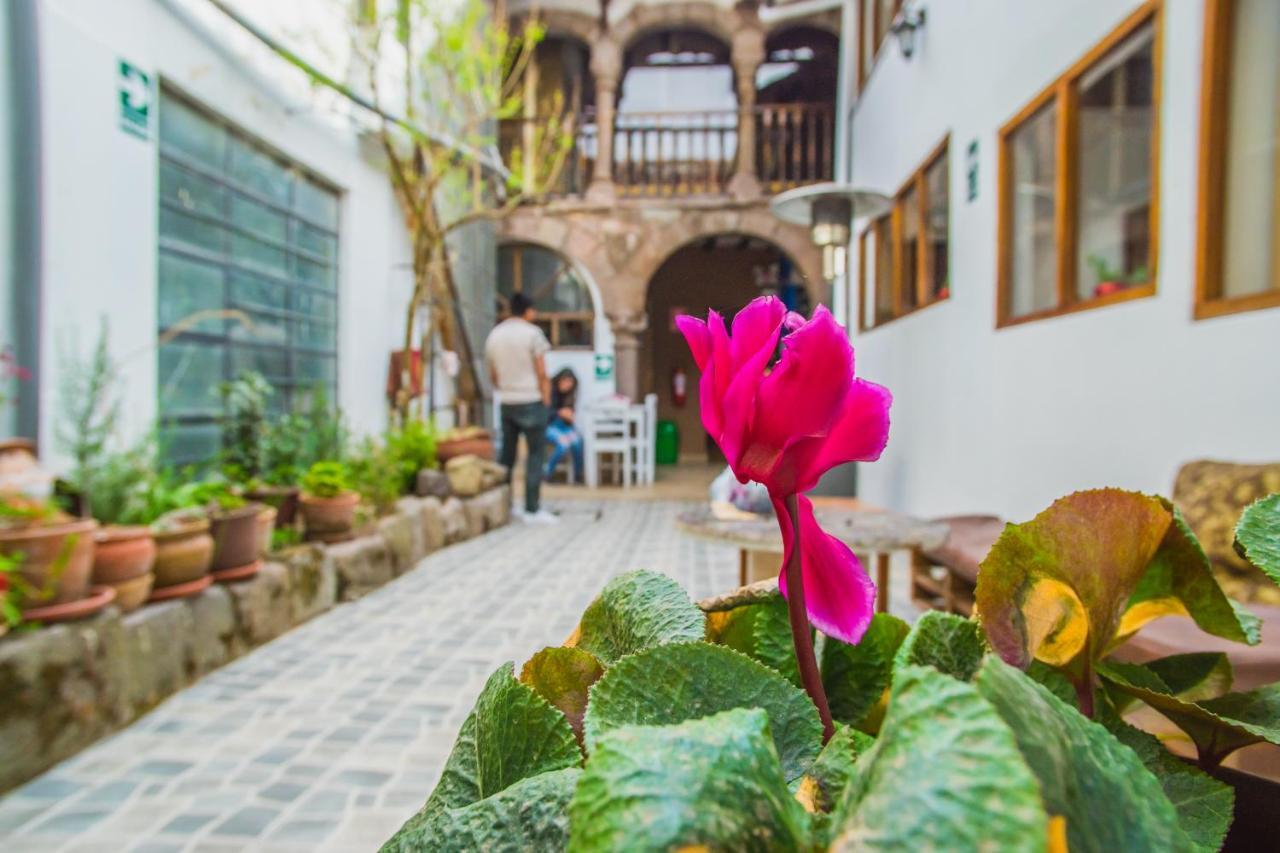 Tucan Hostel *