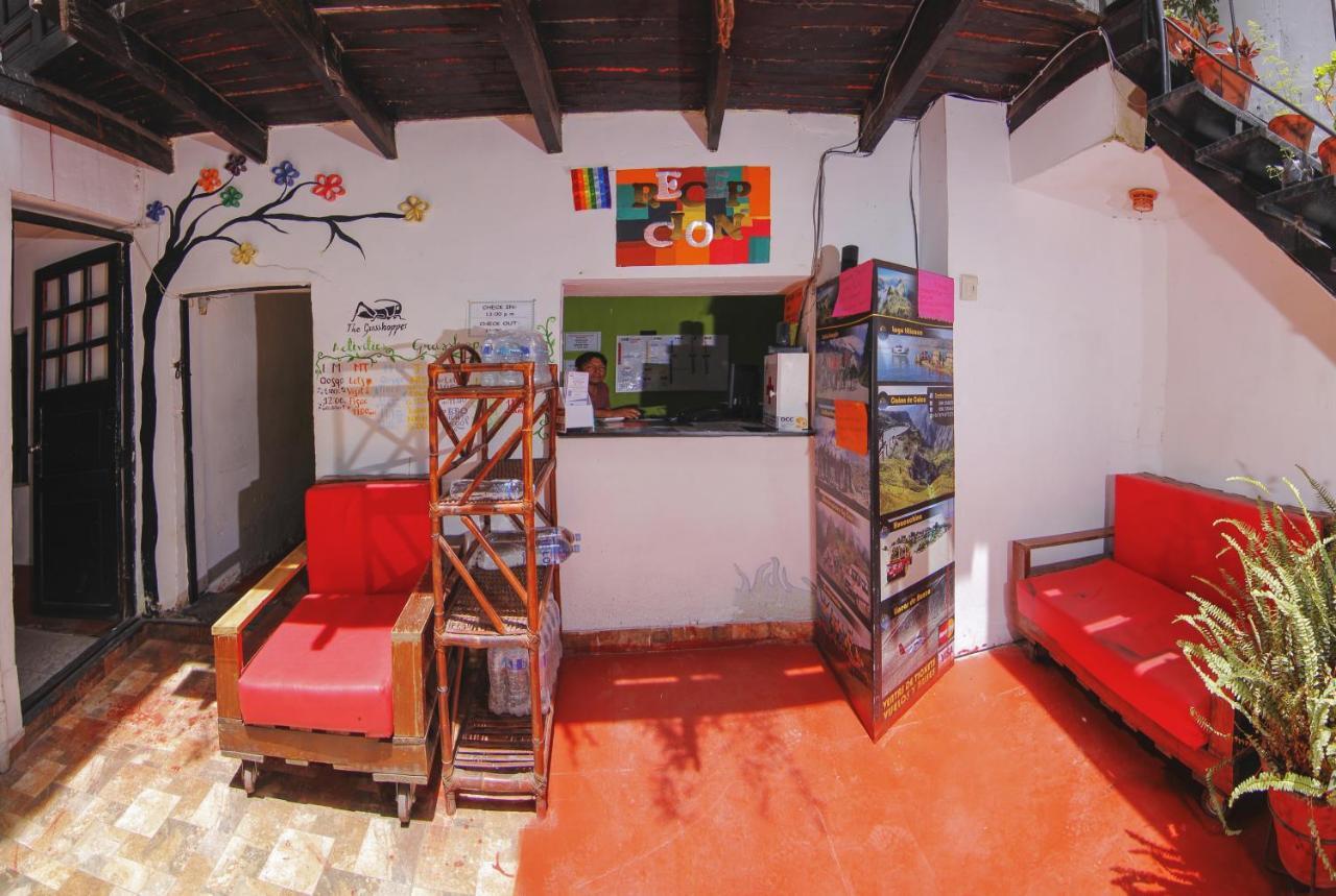 The Grasshopper Hostal *