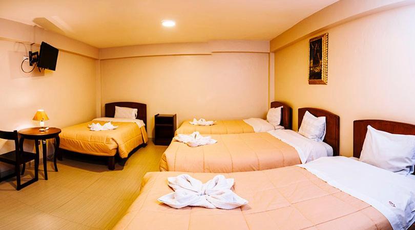 Guest house Palace *