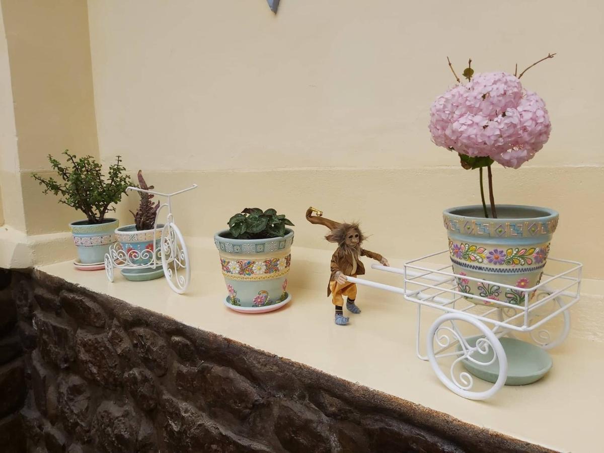 Bed & Breakfast Andean 3*