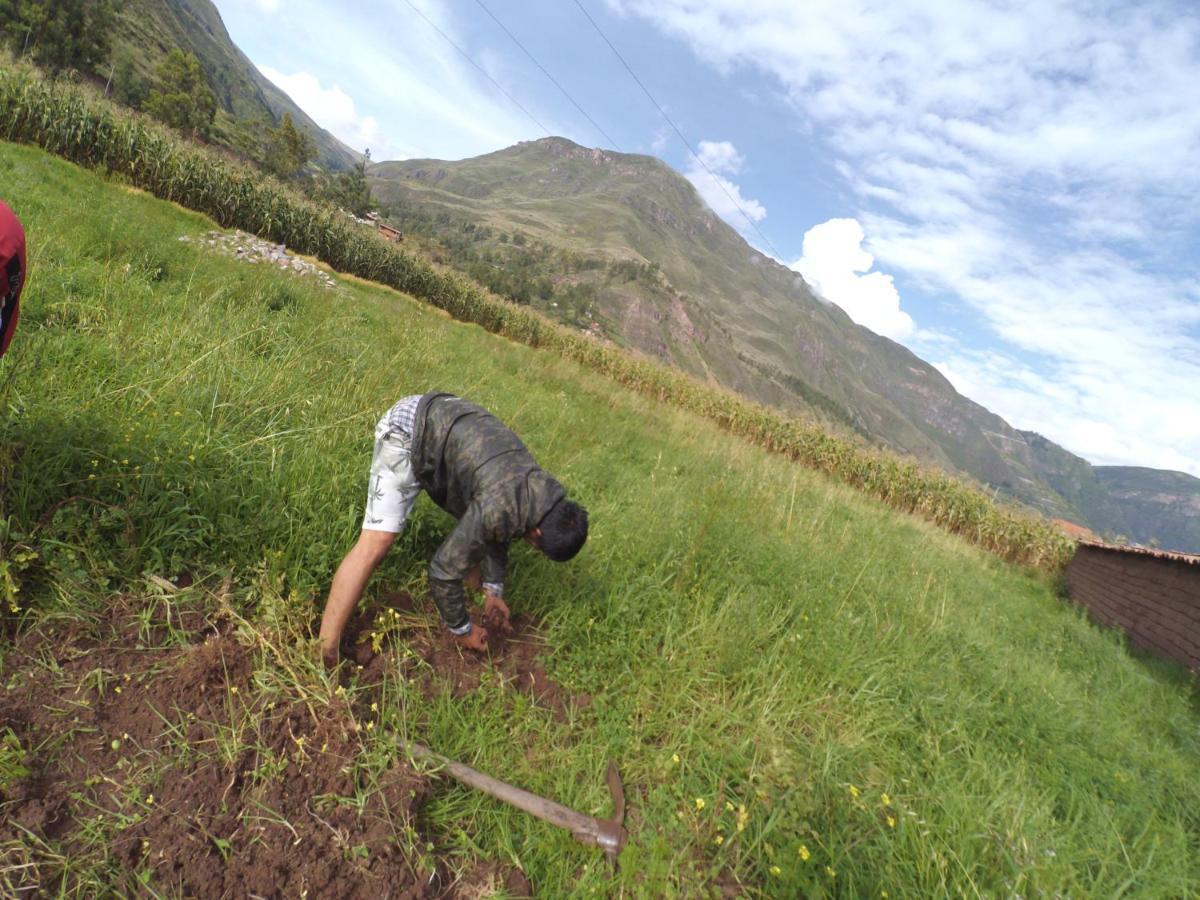 Camping Casa Pisac *