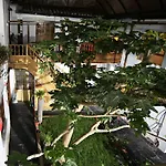 Sumayaq Hostel Cusco