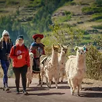 Alpaca Lodge & Explorations