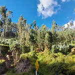 Oasis Cusco