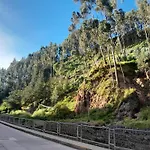 Oasis Cusco