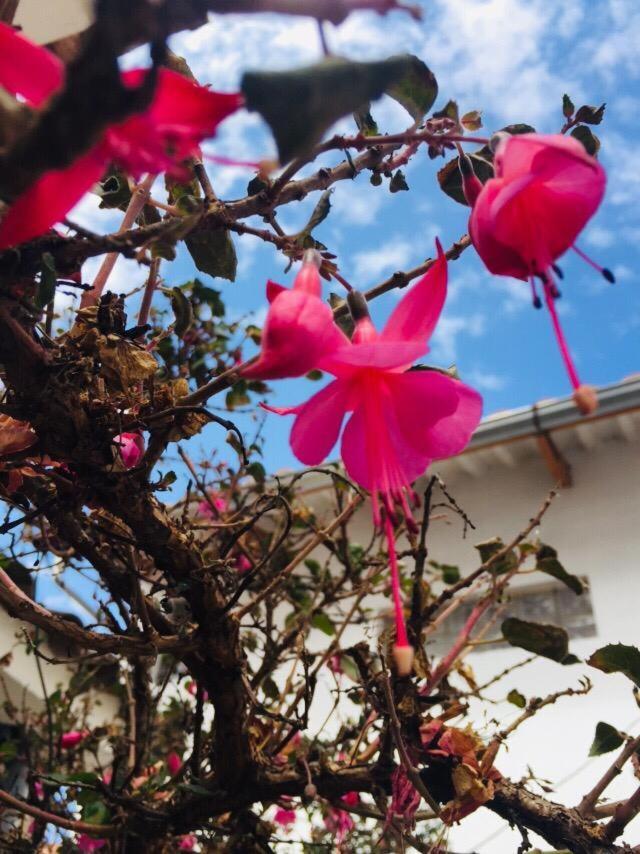 Acuarela *