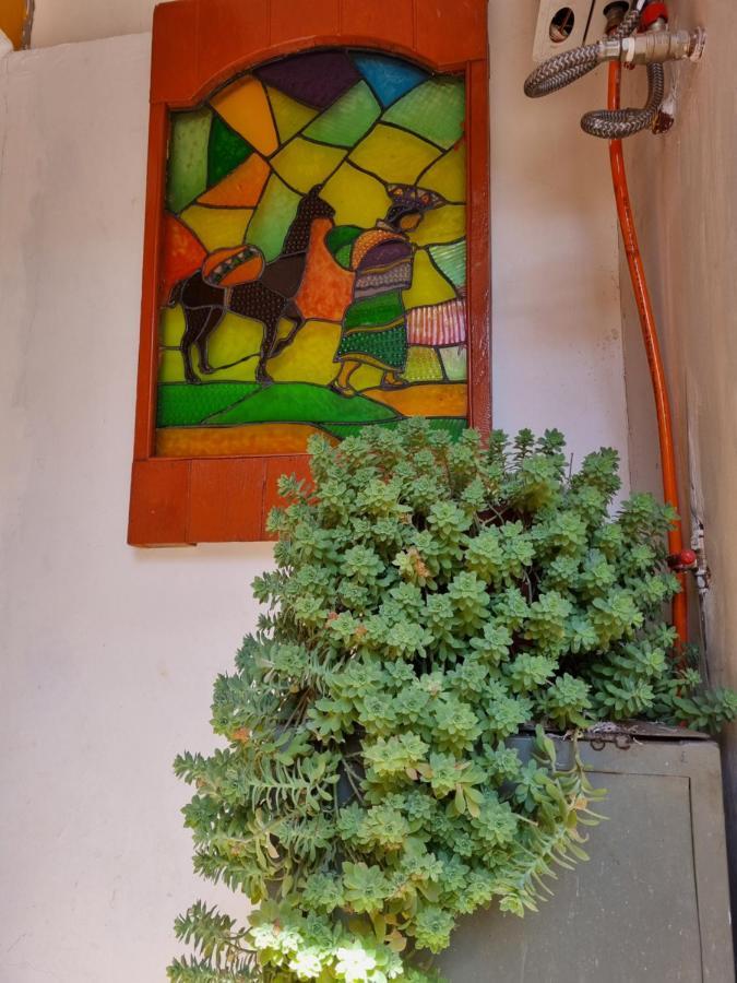 Hostel Chelitos Backpacker