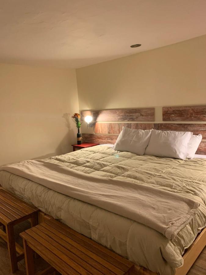 Hostel Gaia House Cusco