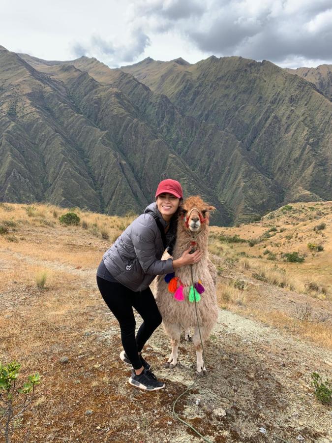 Alpaca & Explorations * Cusco
