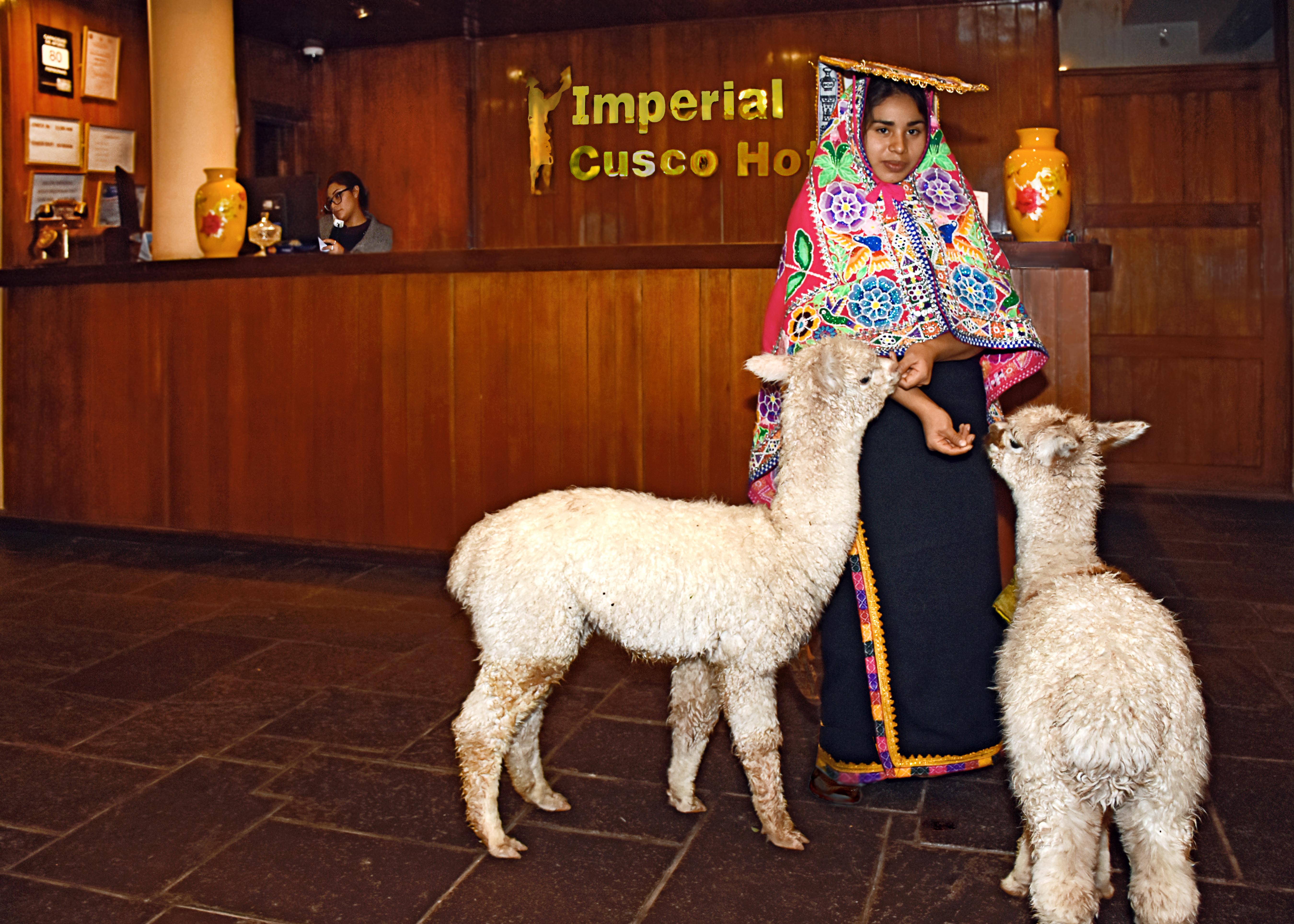 Imperial 3*