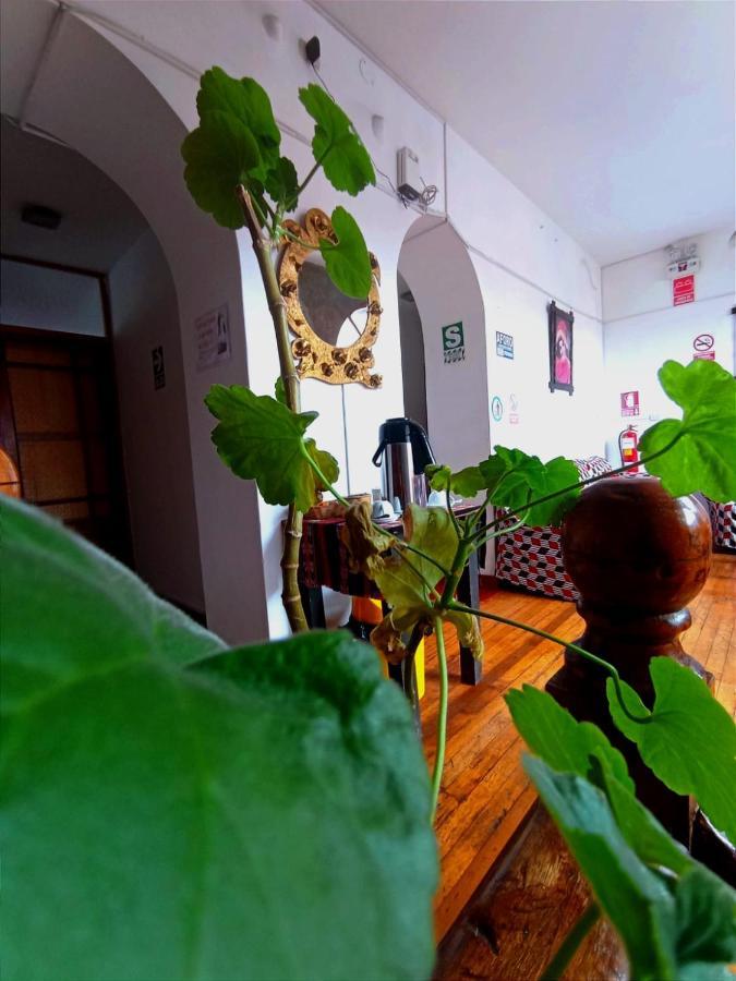 Hotel Carmen Plaza Bed & Breakfast