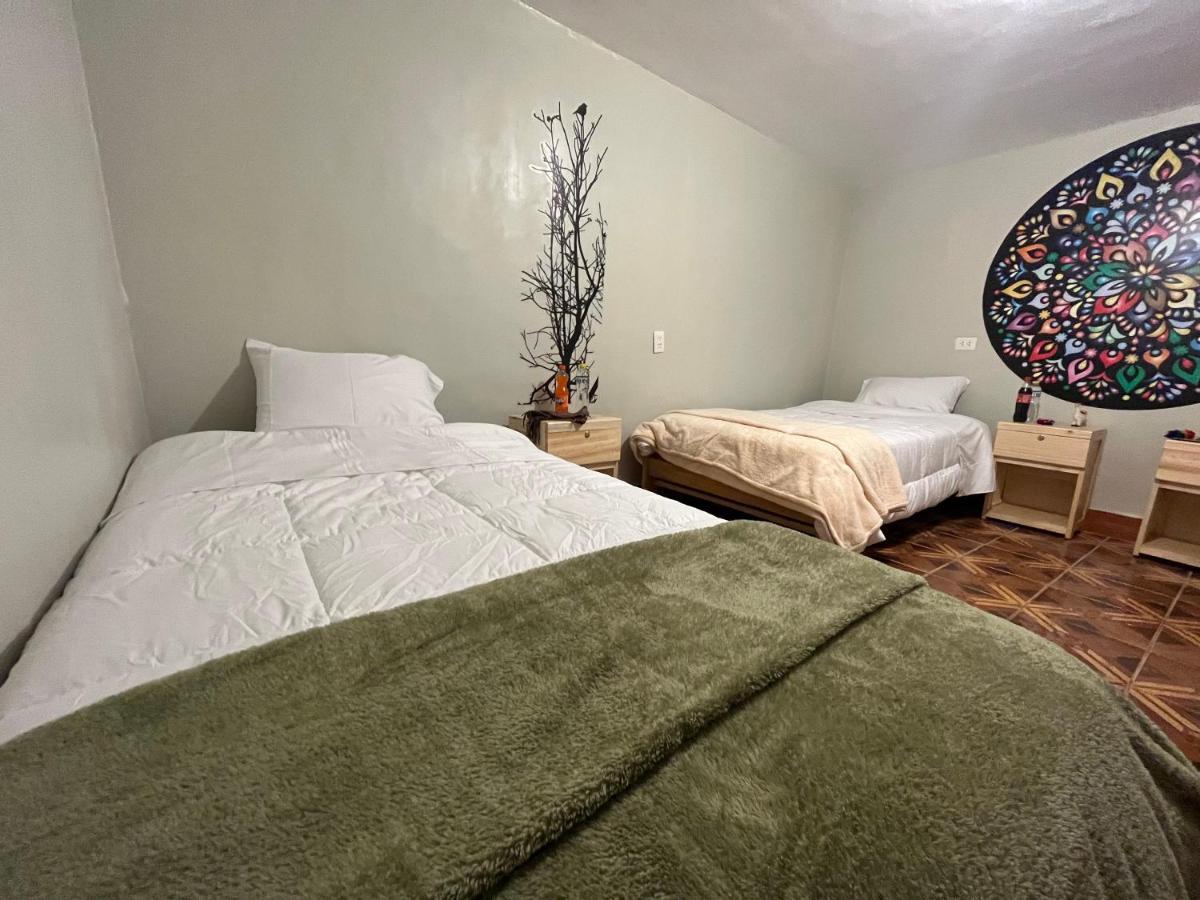 The Sleepy Mouse Hostel