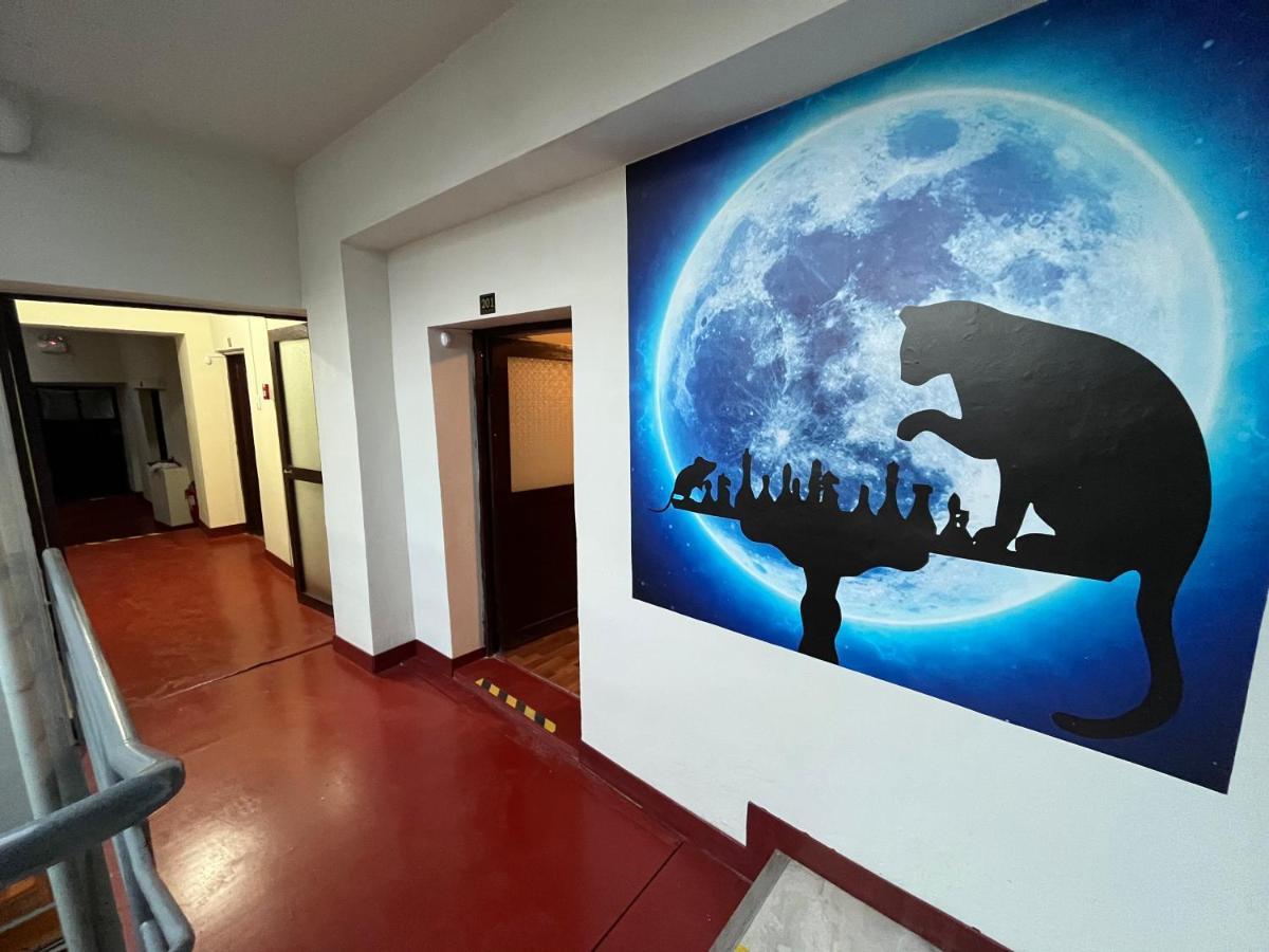 The Sleepy Mouse Hostel
