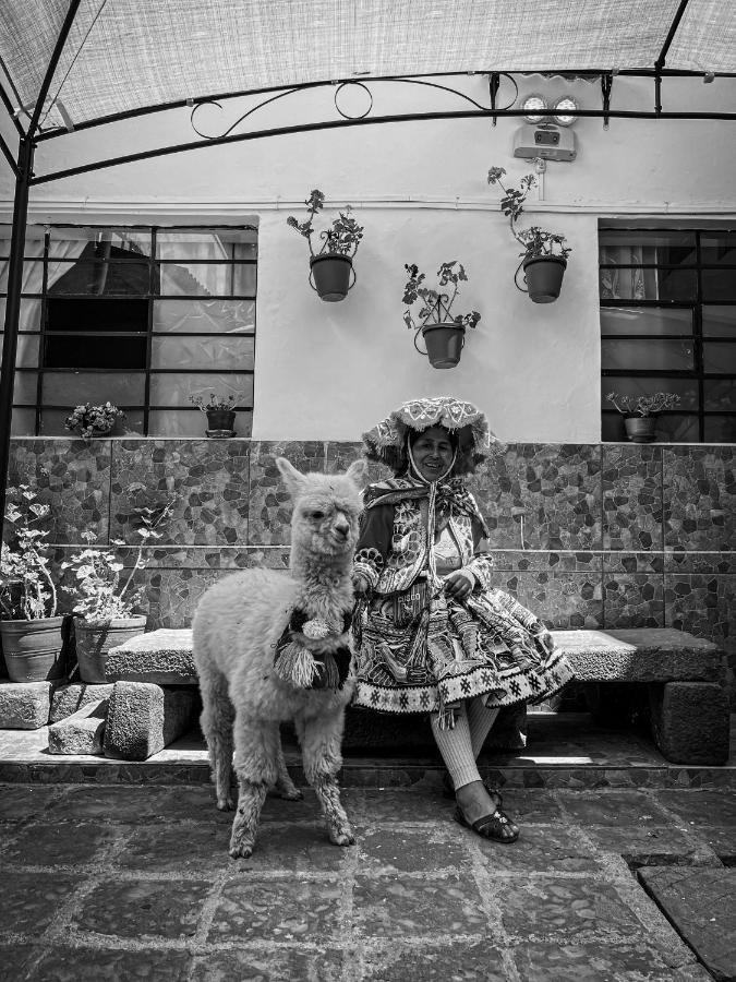 Bed & Breakfast Flamenco *