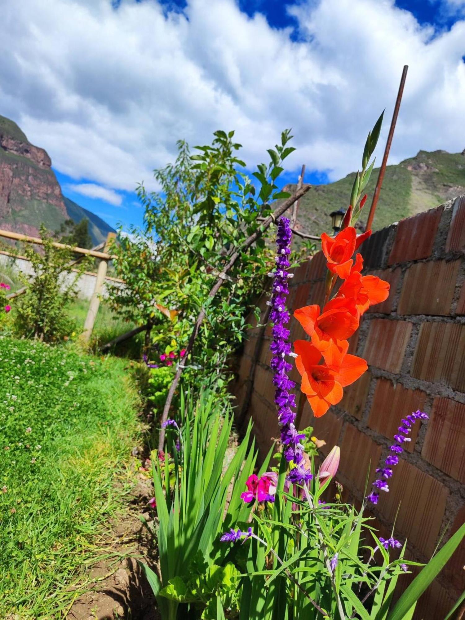 Del Rey Cusco