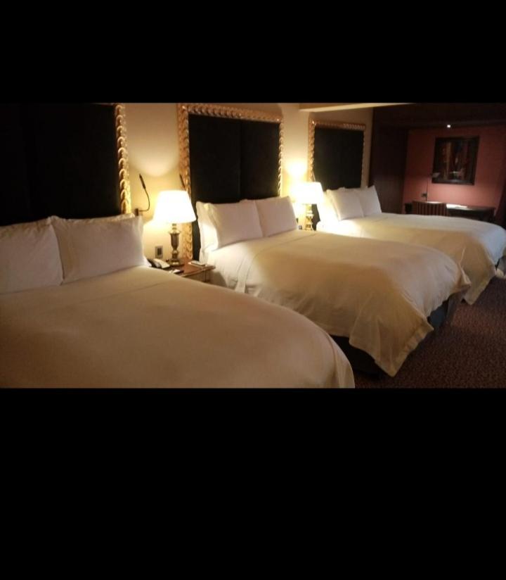 Guest house M Y D *