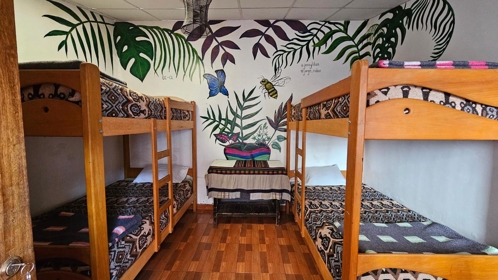 Hostel Chelitos Backpacker *