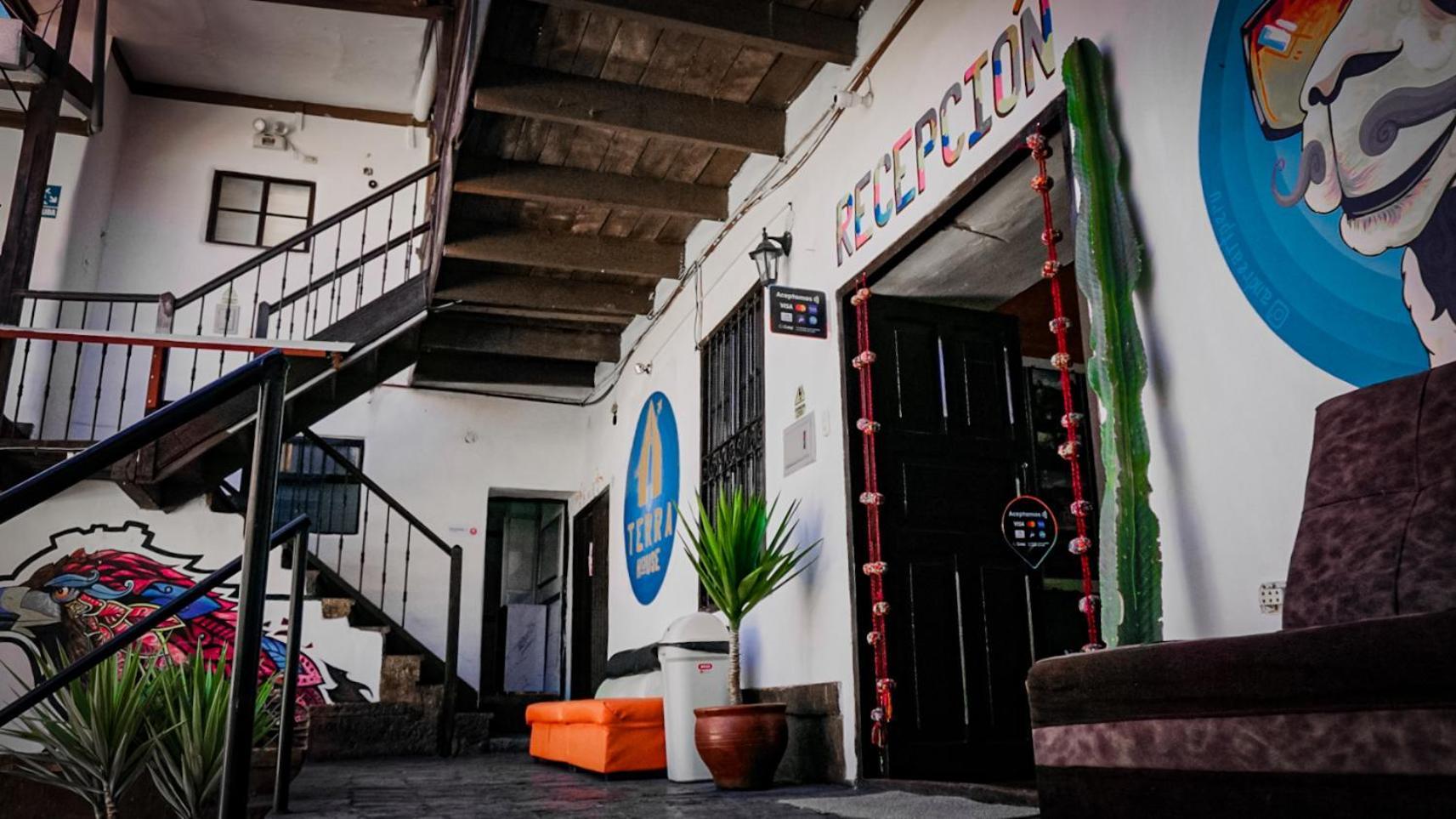 Terra House Guest house