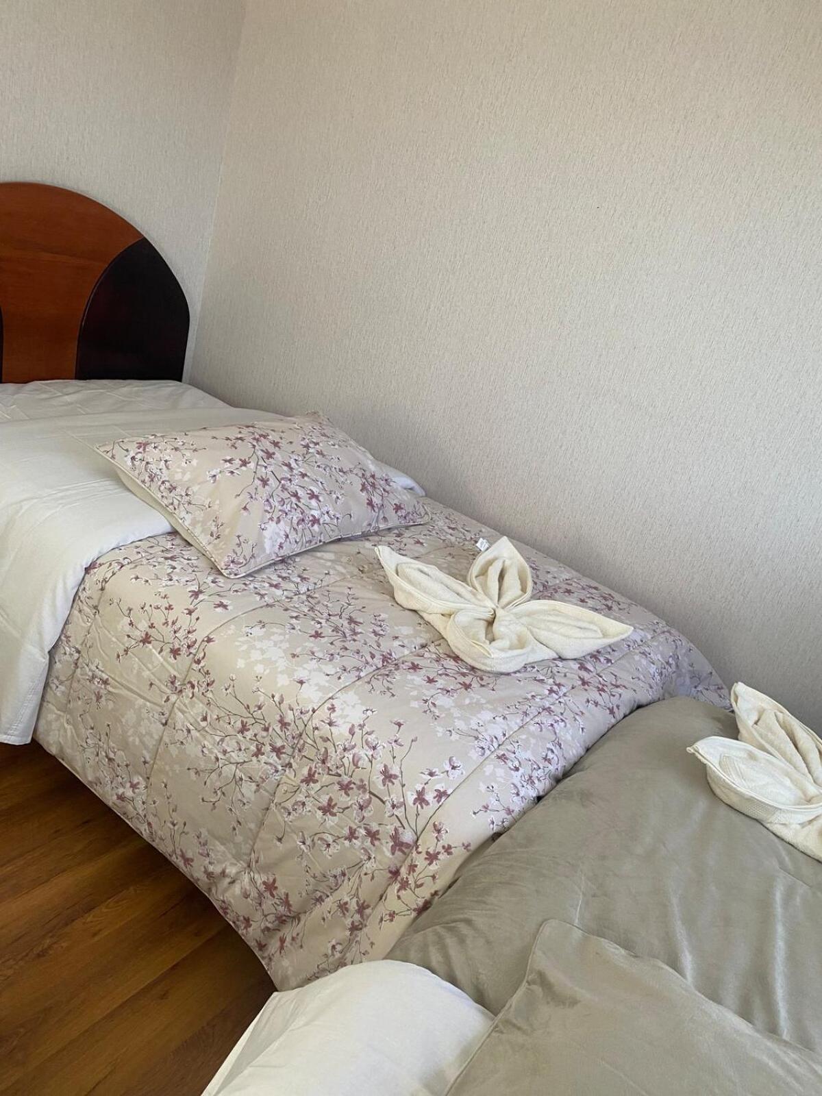 Apartamento Cozy In *