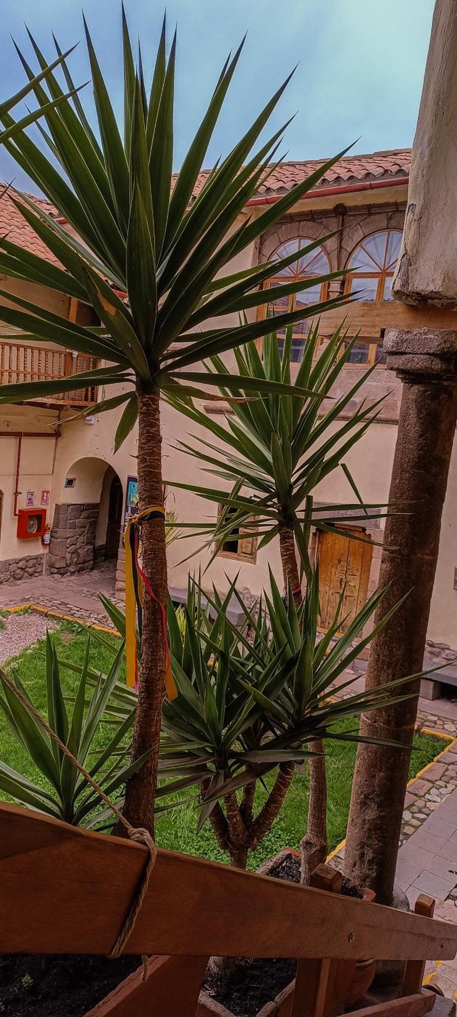 Hostal Loki Cuzco