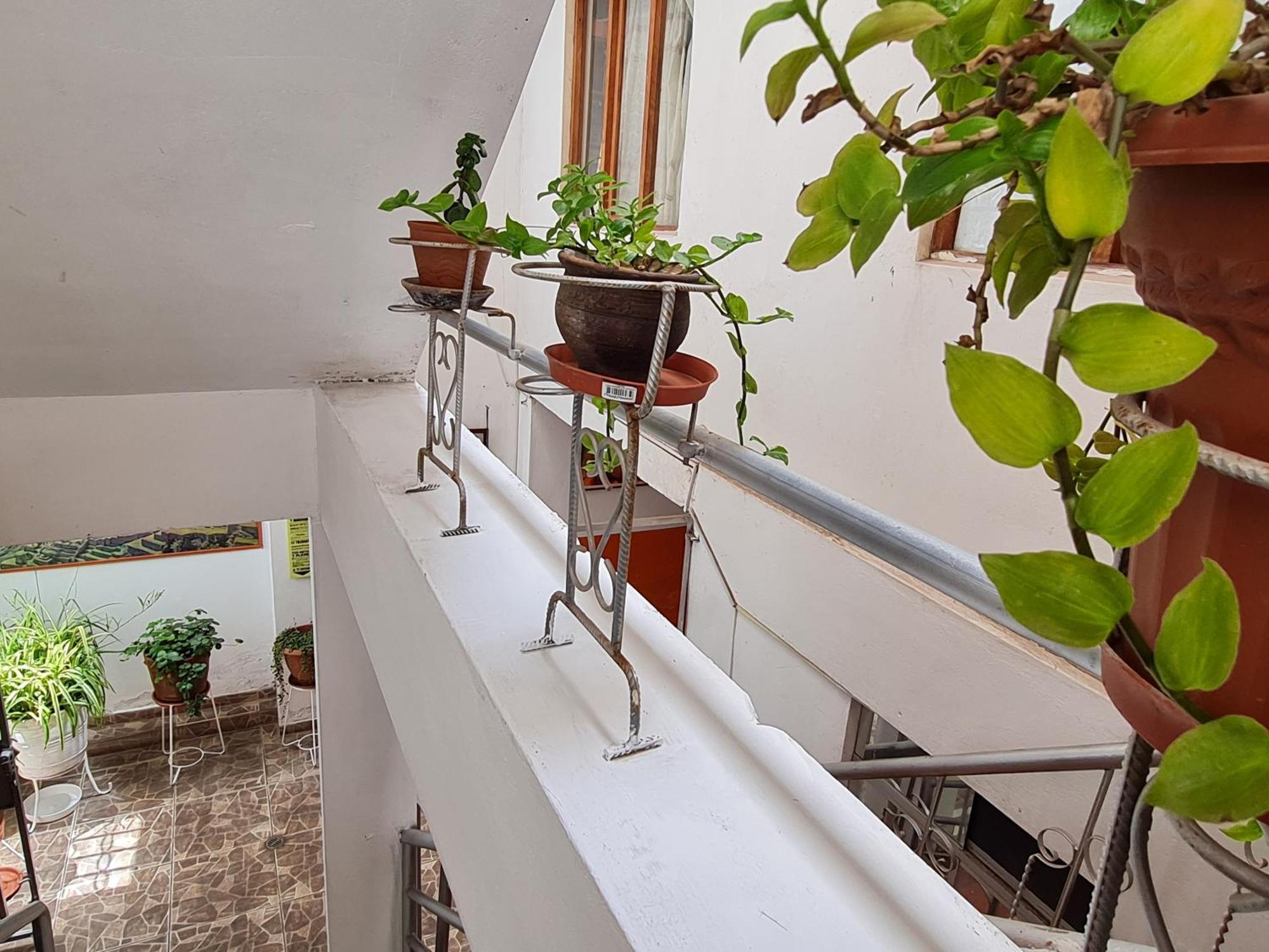 Apartment Wasi
