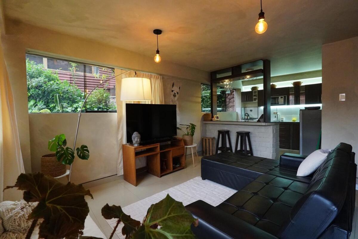 Apartment Full Of 2 In The Center